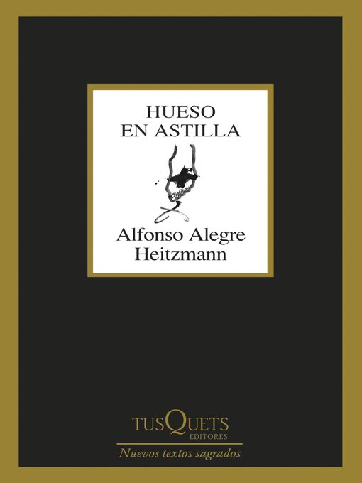 Title details for Hueso en astilla by Alfonso Alegre Heitzmann - Available